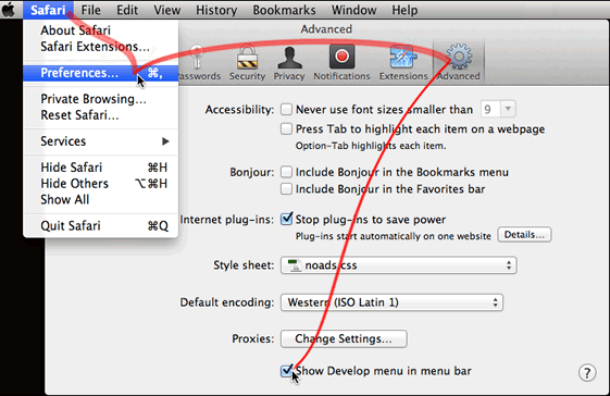 Enabling developer menu on Safari